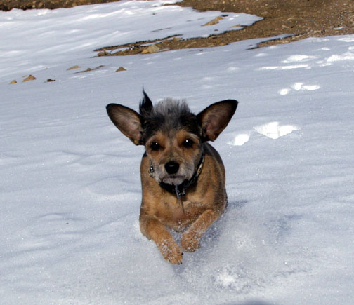 buford in snow