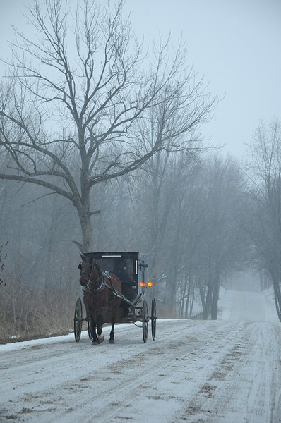 RT_amish_1090_72.jpg (Large)