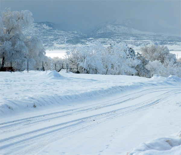 spring snow