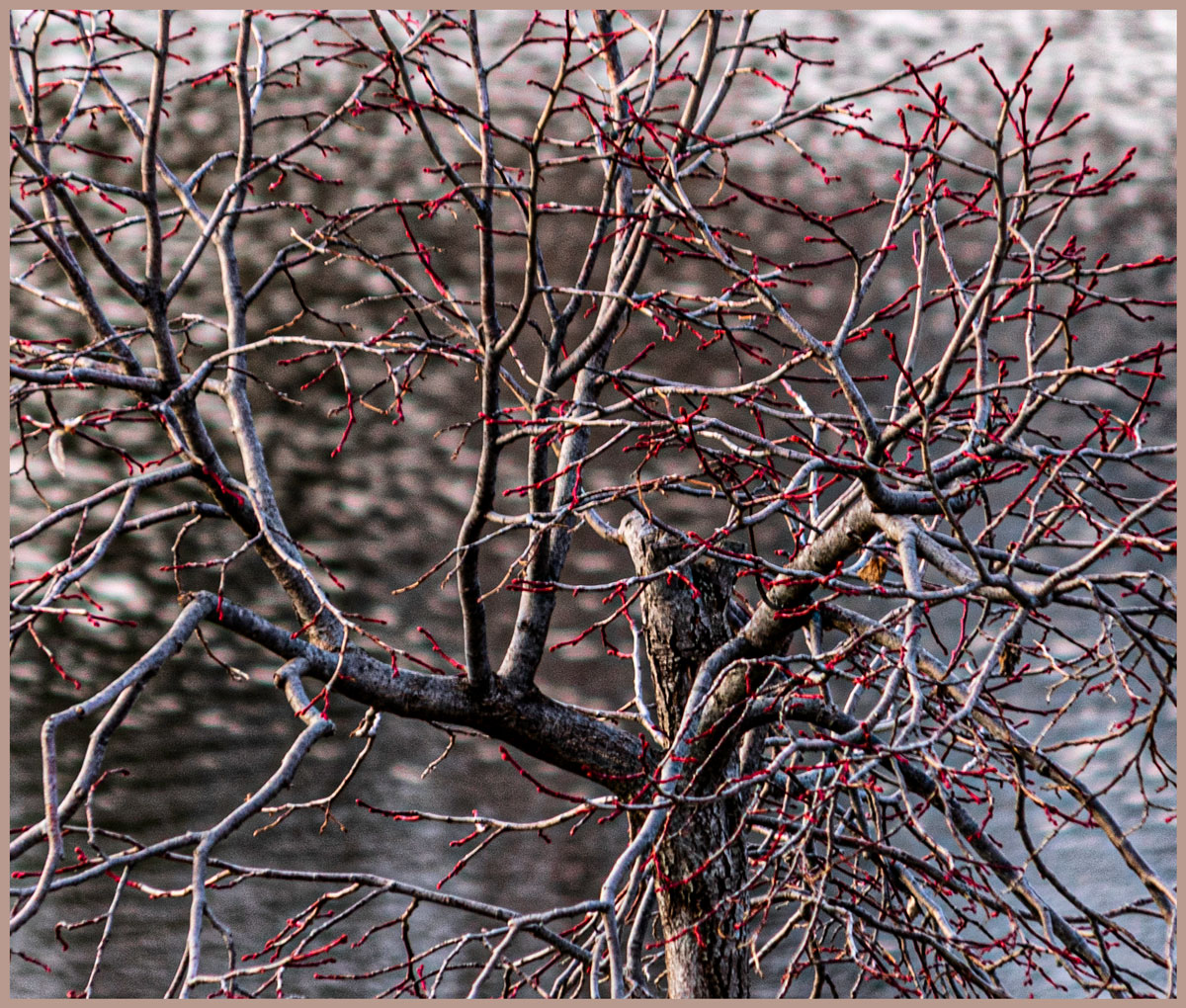 7-Foot White-Washed Hand-Knotted Twisted Twig Garland