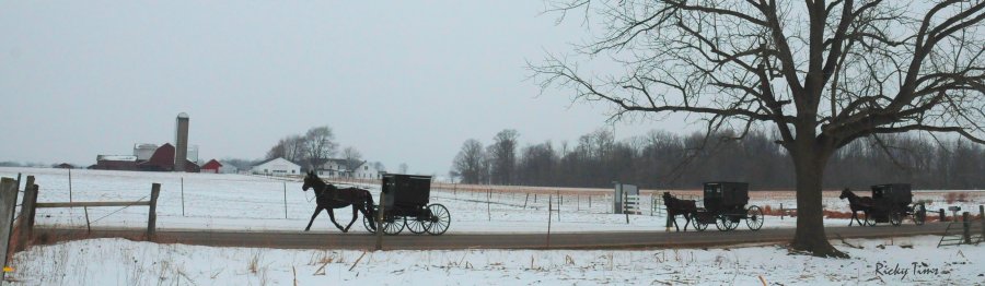 rt_amish_0994