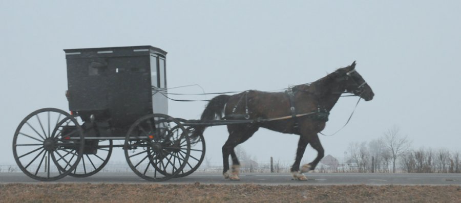 rt_amish_1046_72