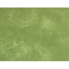 RH701 - Spanish Moss RH701 - Spanish Moss